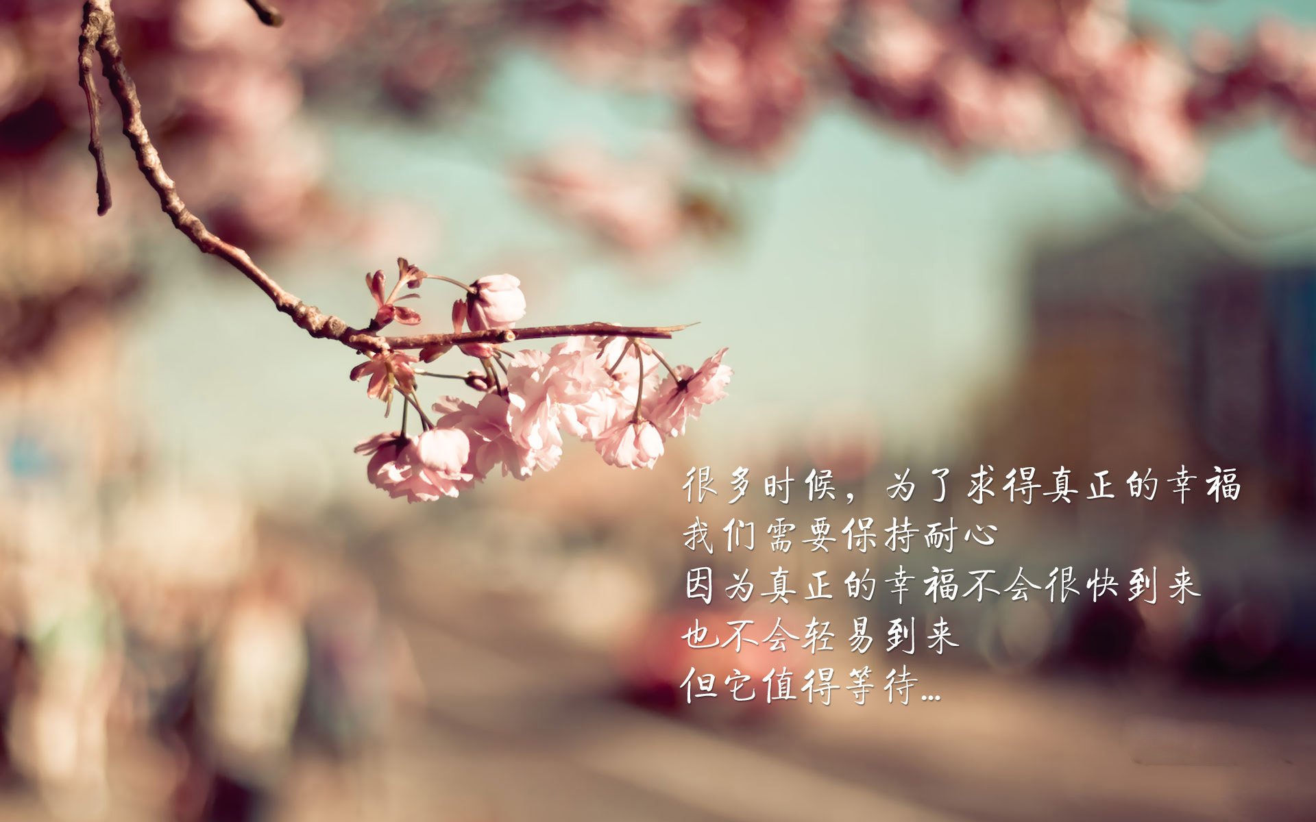欧洲杯常胜军：拜仁慕尼黑占据榜首，欧洲杯打胜平