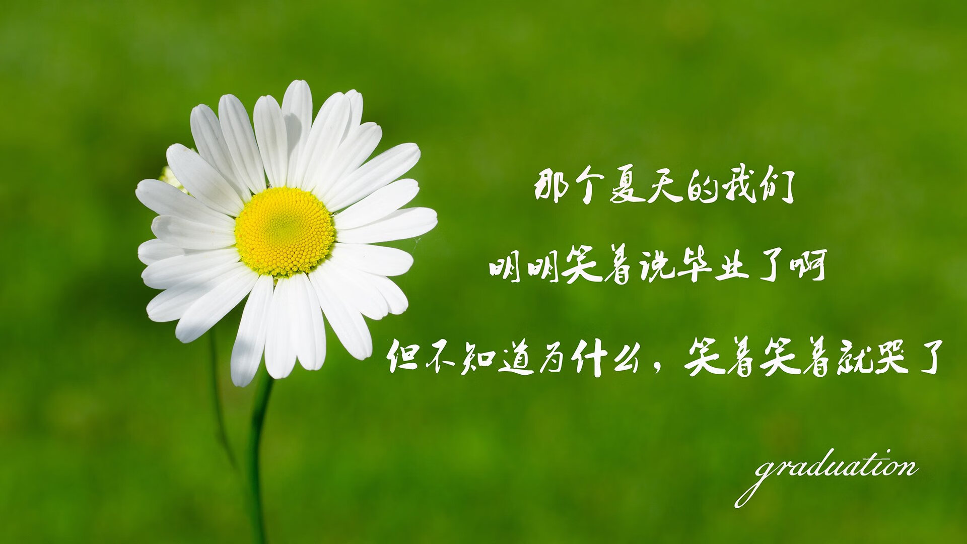 精彩游泳半决赛赛程安排一览,游泳半决赛进决赛