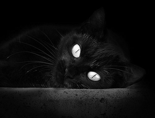 中超球员年度技术评分标准体系，中超球员技术统计