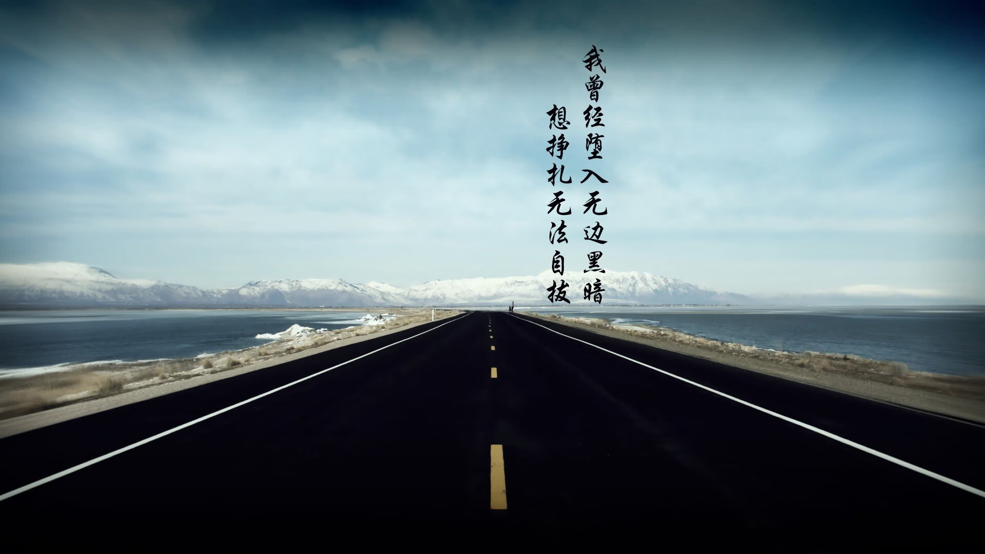 深圳领航队后卫线多点开花为战术布置加分,深圳领航者球员