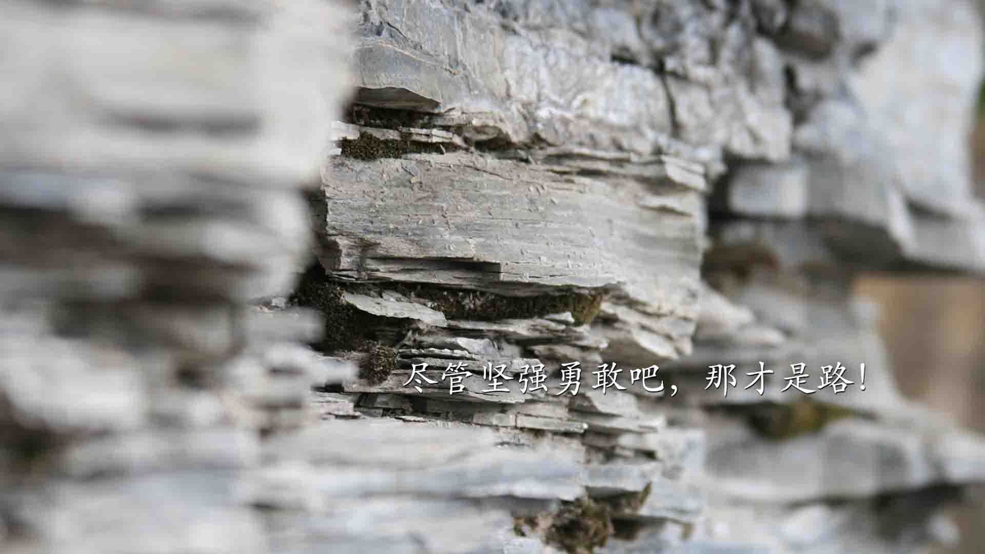 希腊女篮在欧洲锦标赛中连续夺冠，续写辉煌篇章，希腊女球迷