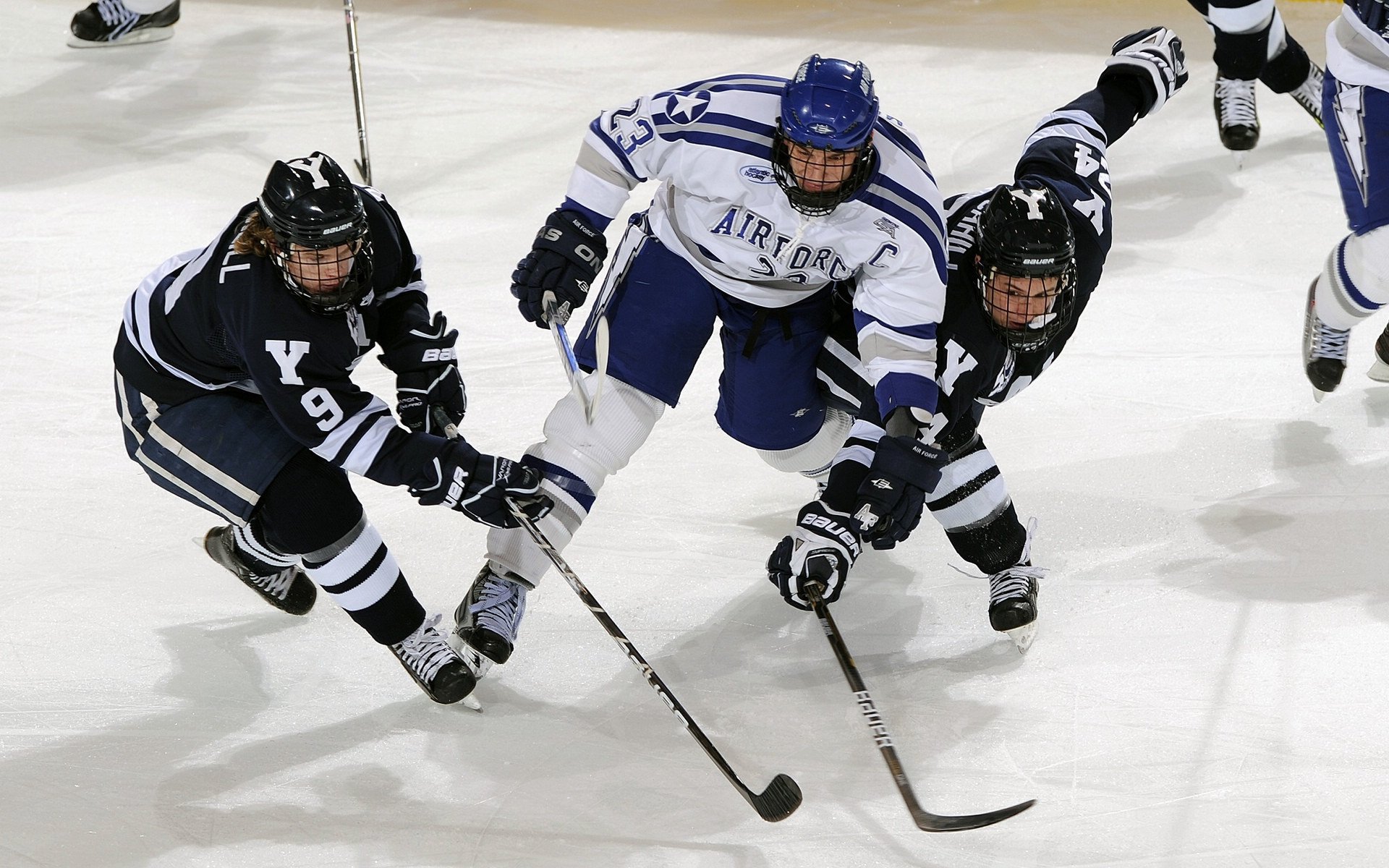 _青少年武术争霸赛：传承文化点亮未来_，青少年武术比赛规则